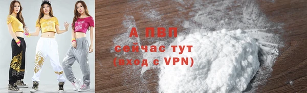 индика Нягань
