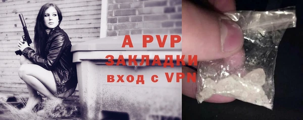 индика Нягань