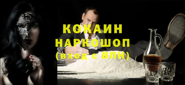 индика Нягань