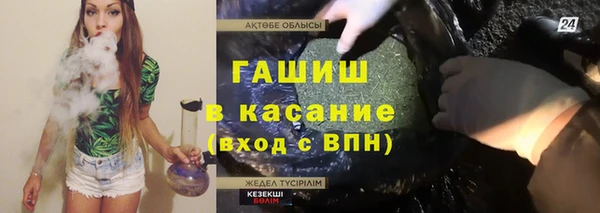 индика Нягань