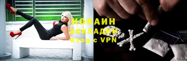 индика Нягань