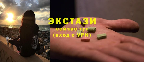 индика Нягань