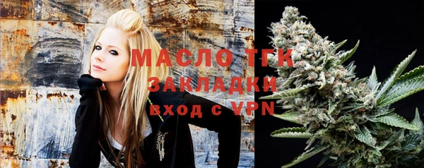 индика Нягань