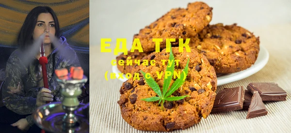индика Нягань