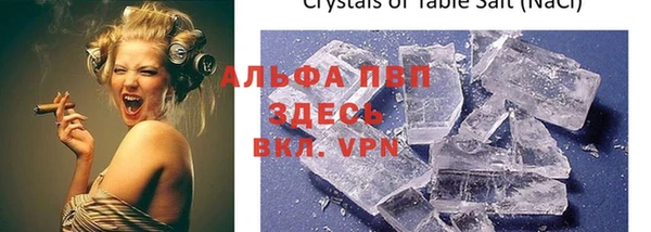 индика Нягань