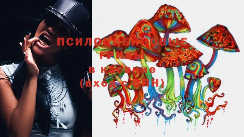 Галлюциногенные грибы MAGIC MUSHROOMS  наркотики  Нижняя Тура 